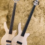 Fretless